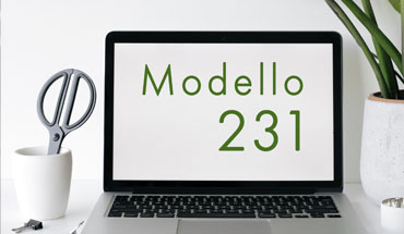 Modello 231